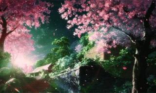 世上独一无二的你 世上独一无二的你